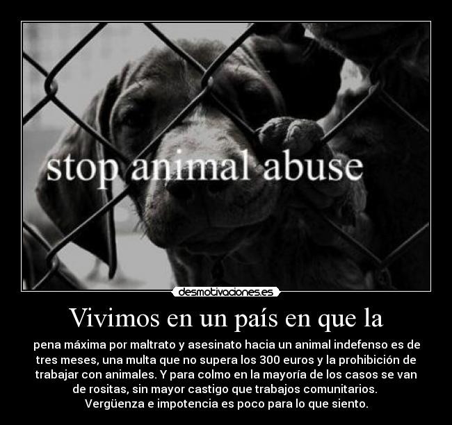 Vivimos en un país en que la -