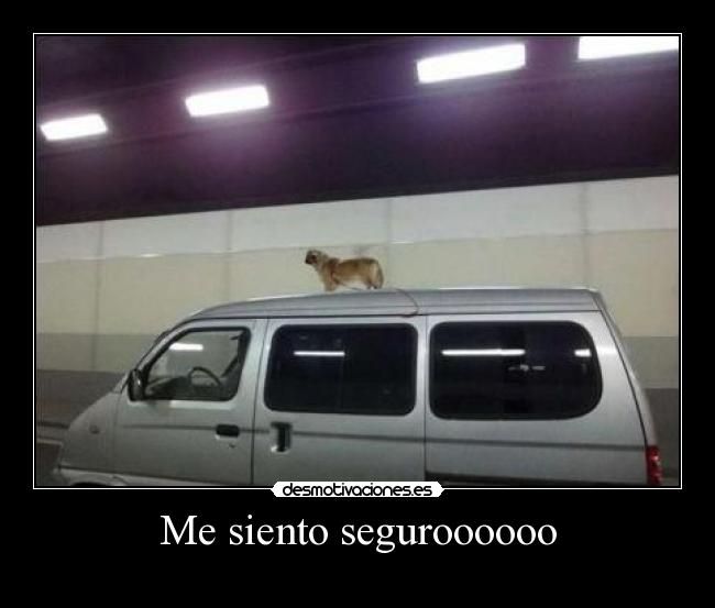 carteles jrasioso porque perro seguro lalocuna quiero desmotivaciones