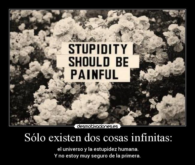 Sólo existen dos cosas infinitas: - el universo y la estupidez humana.
Y no estoy muy seguro de la primera.