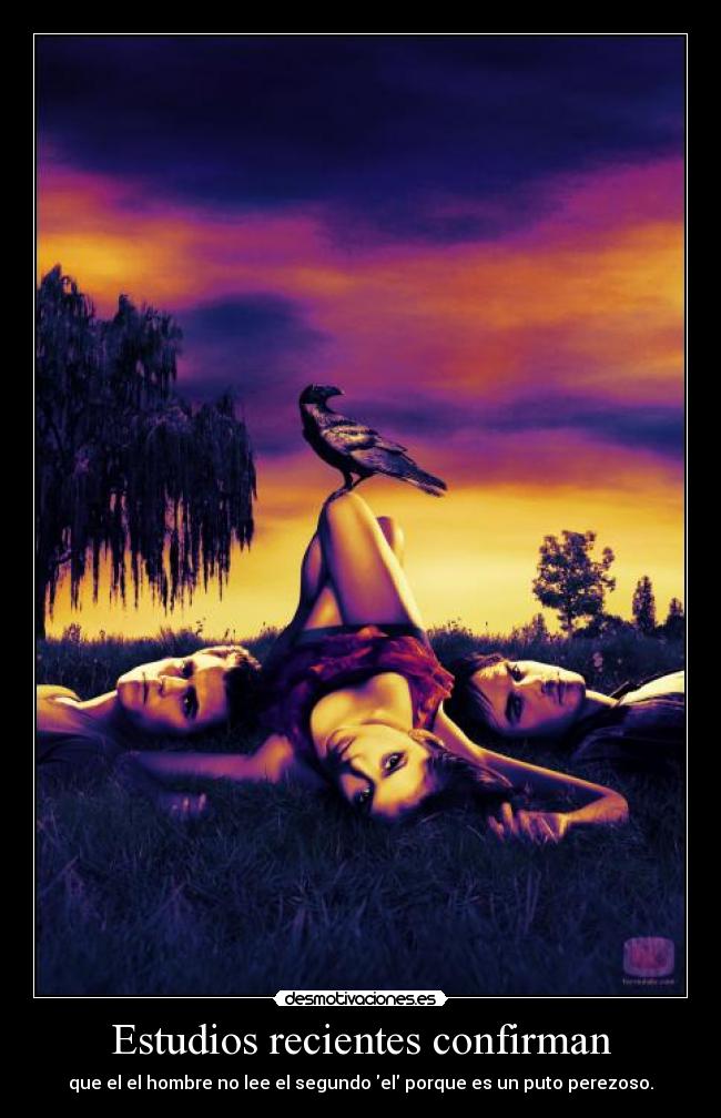 Estudios recientes confirman - que el el hombre no lee el segundo el porque es un puto perezoso.