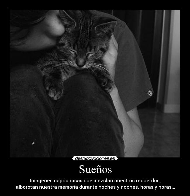 Sueños - 