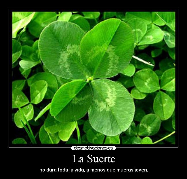 La Suerte -