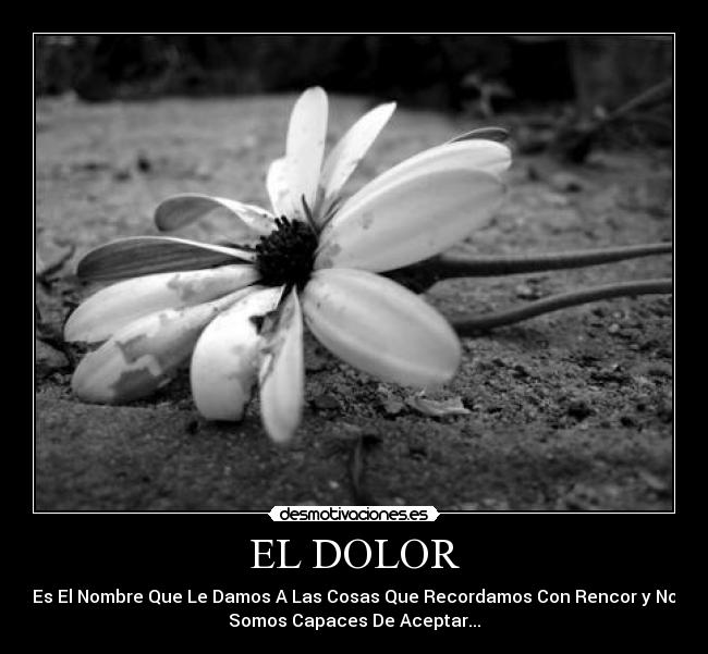 EL DOLOR - Es El Nombre Que Le Damos A Las Cosas Que Recordamos Con Rencor y No
Somos Capaces De Aceptar...