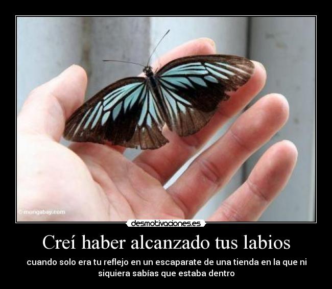 Creí haber alcanzado tus labios - cuando solo era tu reflejo en un escaparate de una tienda en la que ni
siquiera sabías que estaba dentro