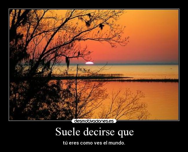 Suele decirse que - 