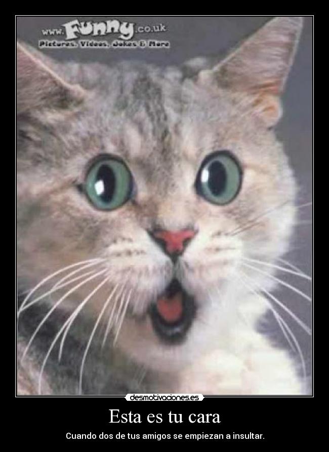 Esta es tu cara - Cuando dos de tus amigos se empiezan a insultar.
