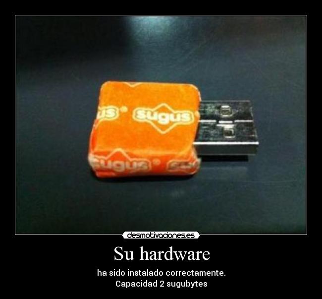 Su hardware - ha sido instalado correctamente.
Capacidad 2 sugubytes