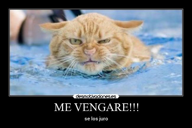 ME VENGARE!!! - se los juro