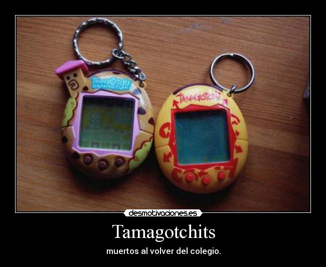 Tamagotchits - muertos al volver del colegio.