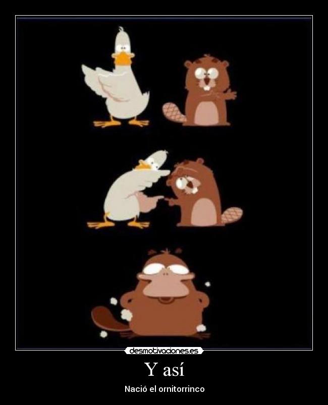 Y así - Nació el ornitorrinco