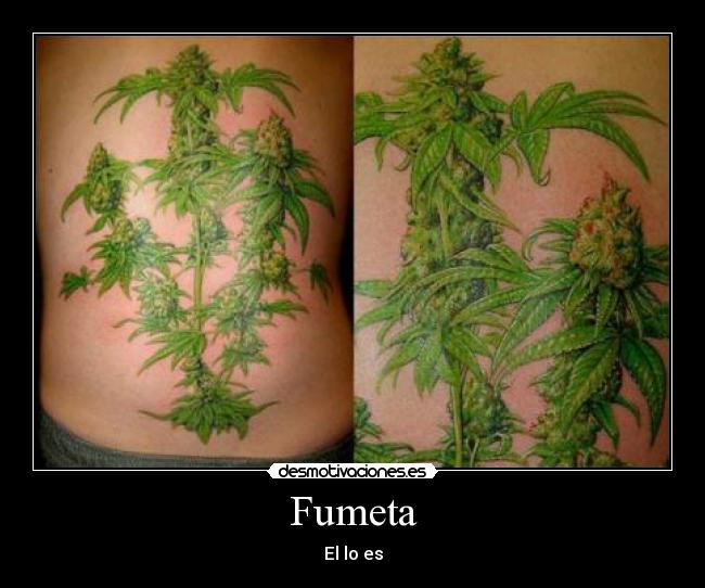 Fumeta - El lo es