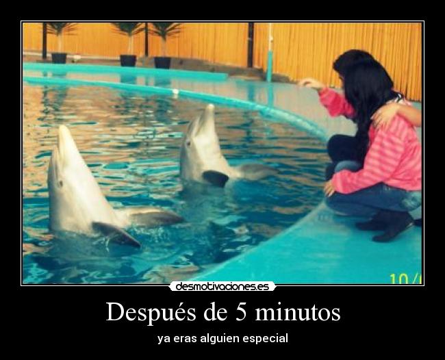 Después de 5 minutos -