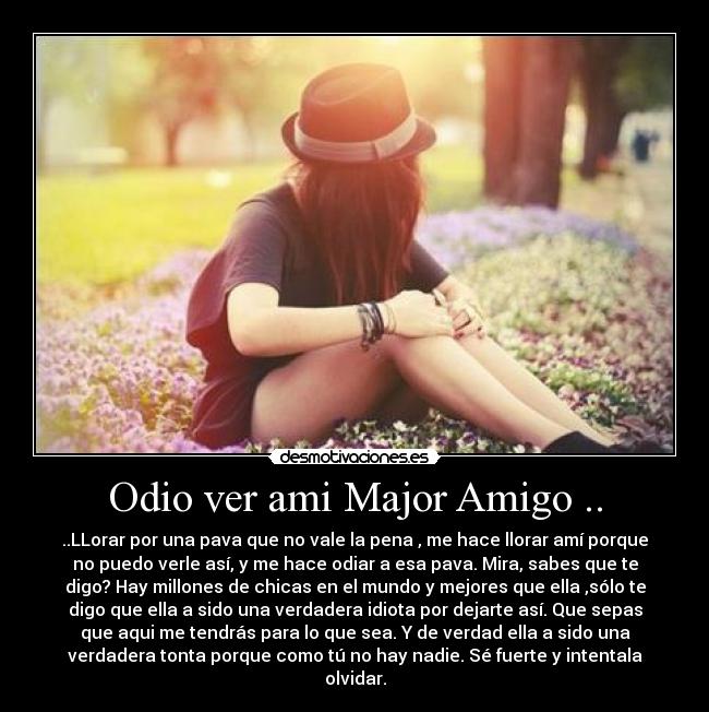 Odio ver ami Major Amigo .. - ..LLorar por una pava que no vale la pena , me hace llorar amí porque
no puedo verle así, y me hace odiar a esa pava. Mira, sabes que te
digo? Hay millones de chicas en el mundo y mejores que ella ,sólo te
digo que ella a sido una verdadera idiota por dejarte así. Que sepas
que aqui me tendrás para lo que sea. Y de verdad ella a sido una
verdadera tonta porque como tú no hay nadie. Sé fuerte y intentala
olvidar.