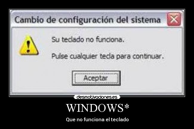 WINDOWS* - 