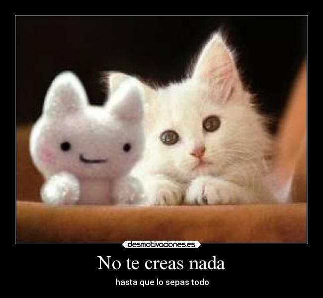 No te creas nada - 