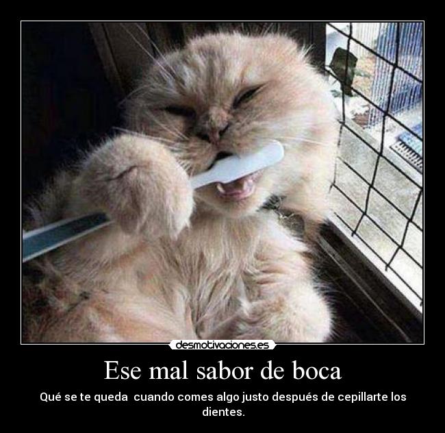 Ese mal sabor de boca - Qué se te queda cuando comes algo justo después de cepillarte los dientes.