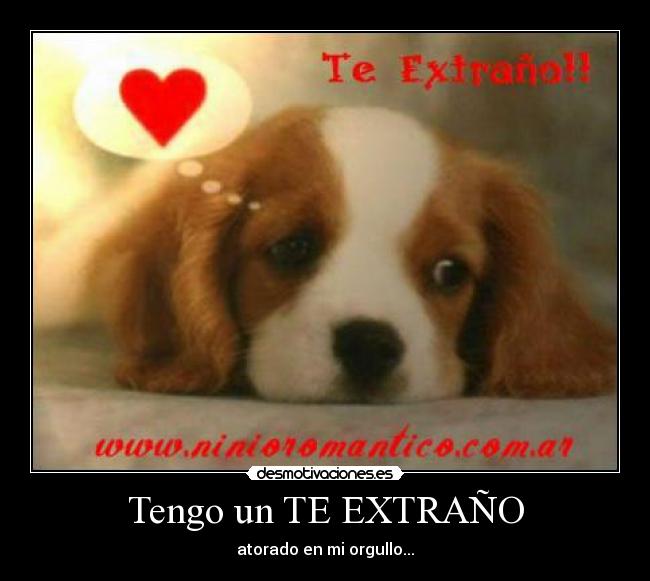 Tengo un TE EXTRAÑO -