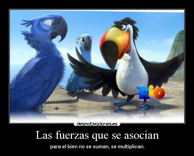 carteles paxi13 desmotivaciones