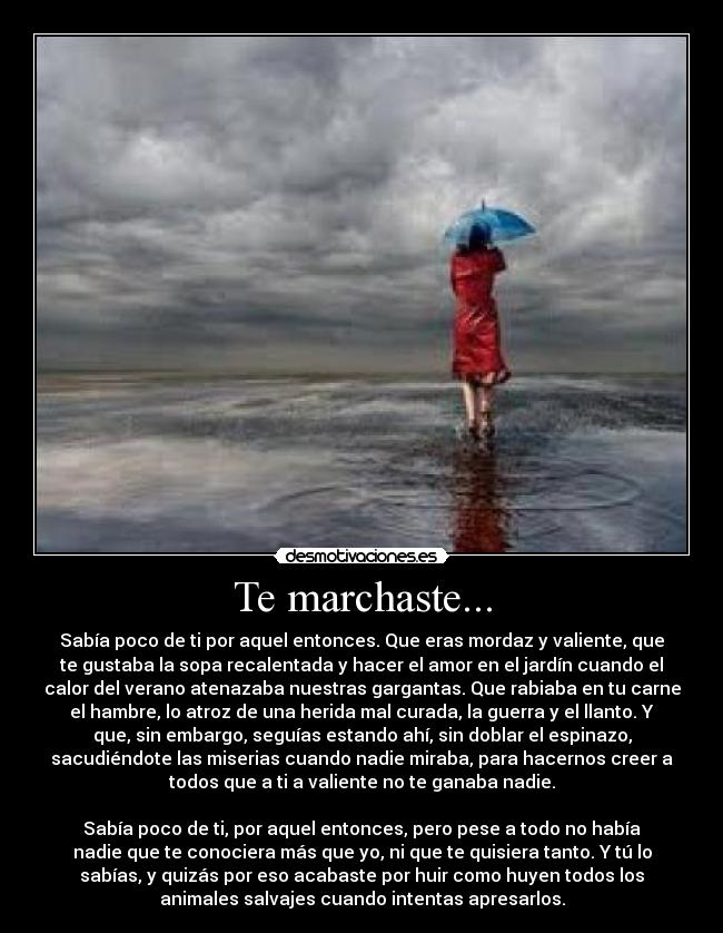 Te marchaste... - Sabía poco de ti por aquel entonces. Que eras mordaz y valiente, que
te gustaba la sopa recalentada y hacer el amor en el jardín cuando el
calor del verano atenazaba nuestras gargantas. Que rabiaba en tu carne
el hambre, lo atroz de una herida mal curada, la guerra y el llanto. Y
que, sin embargo, seguías estando ahí, sin doblar el espinazo,
sacudiéndote las miserias cuando nadie miraba, para hacernos creer a
todos que a ti a valiente no te ganaba nadie.

Sabía poco de ti, por aquel entonces, pero pese a todo no había
nadie que te conociera más que yo, ni que te quisiera tanto. Y tú lo
sabías, y quizás por eso acabaste por huir como huyen todos los
animales salvajes cuando intentas apresarlos.