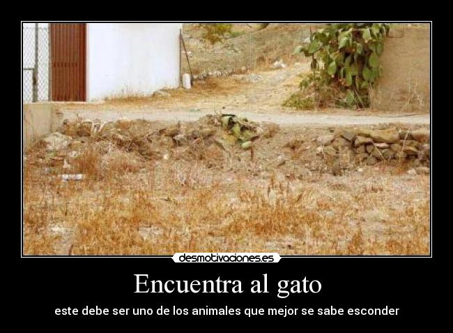 Encuentra al gato -