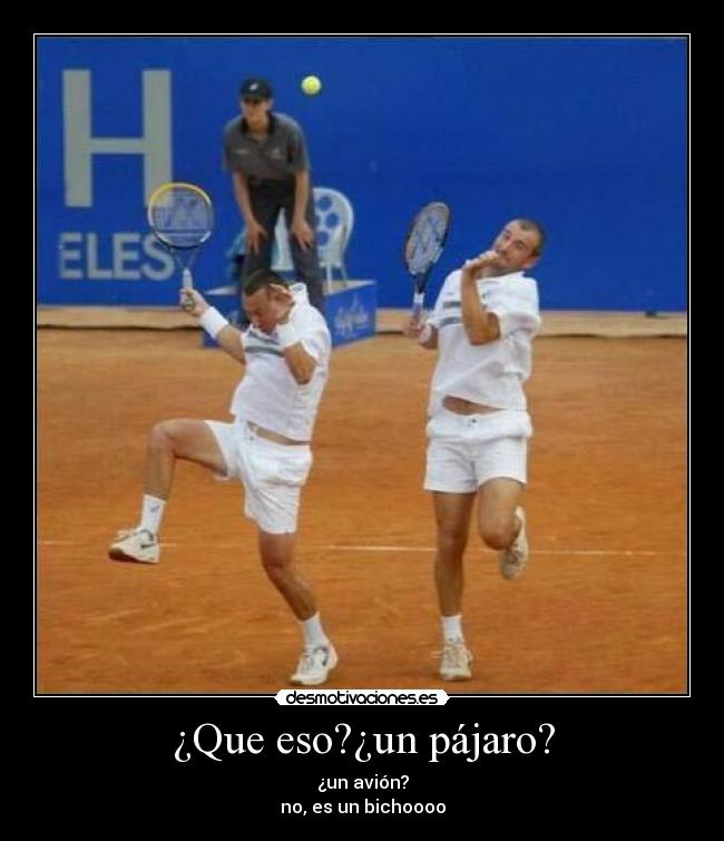 ¿Que eso?¿un pájaro? - ¿un avión?
no, es un bichoooo