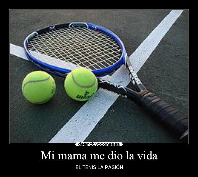 carteles vida sadas desmotivaciones