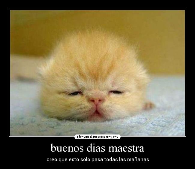 buenos dias maestra - creo que esto solo pasa todas las mañanas