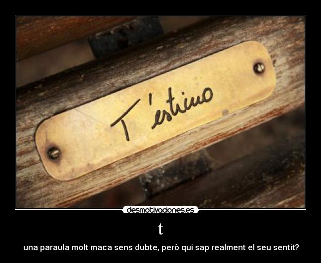 t - una paraula molt maca sens dubte, però qui sap realment el seu sentit?