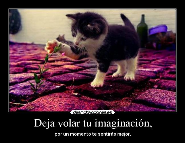 Deja volar tu imaginación, - por un momento te sentirás mejor.