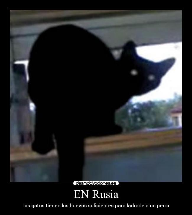 EN Rusia - 