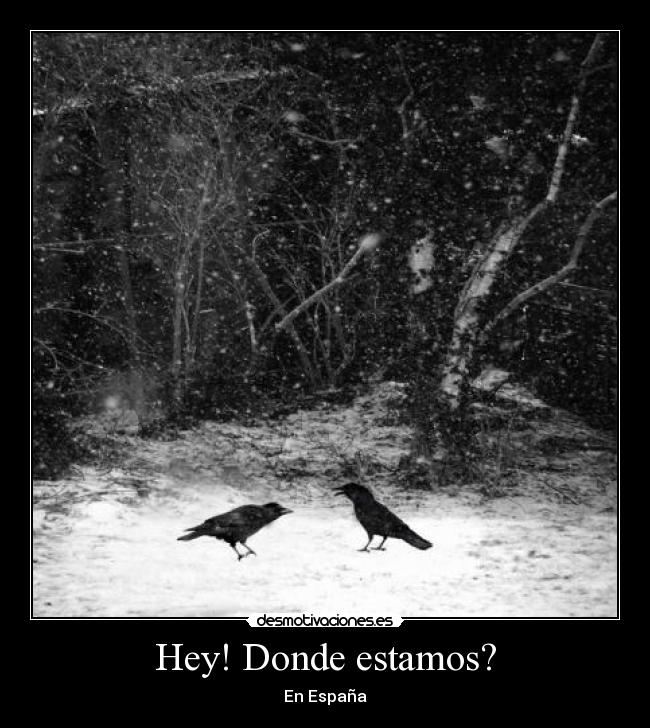 Hey! Donde estamos? -