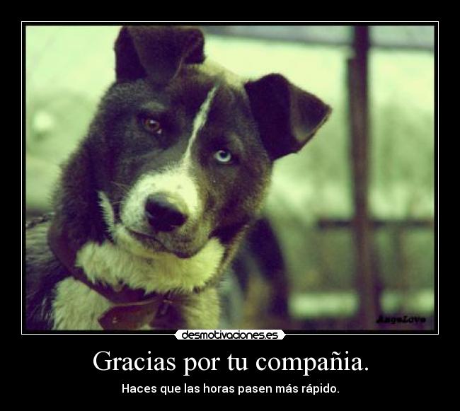 Gracias por tu compañia. -