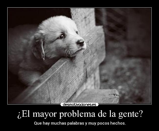 carteles true desmotivaciones