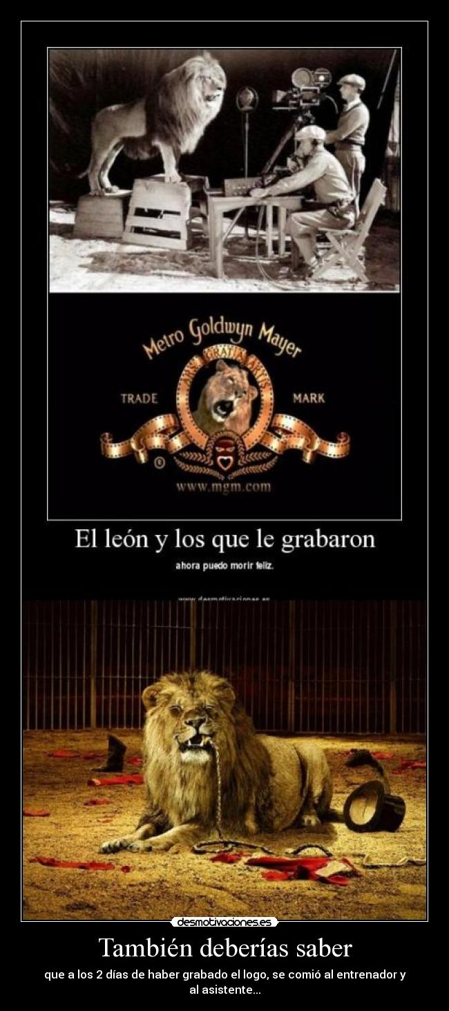 También deberías saber -