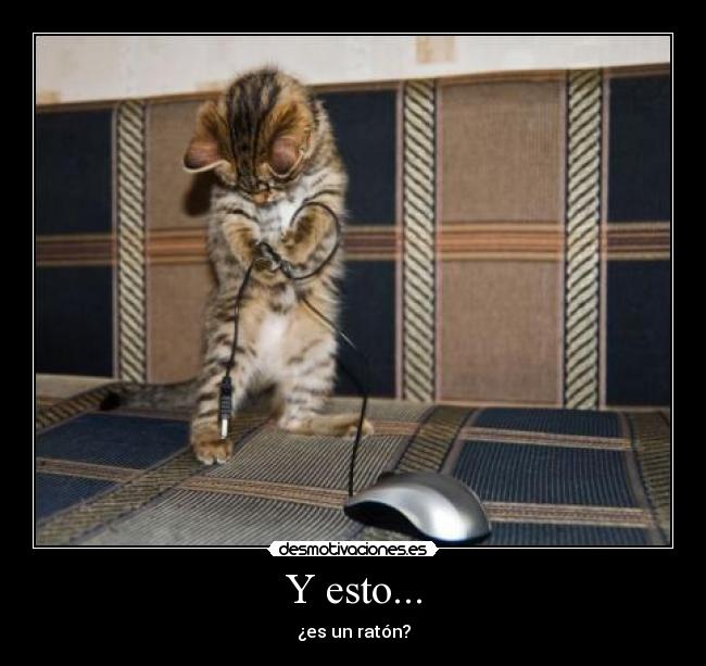 carteles d17pac desmotivaciones