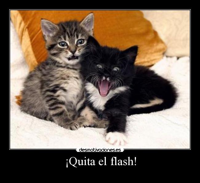 ¡Quita el flash! -