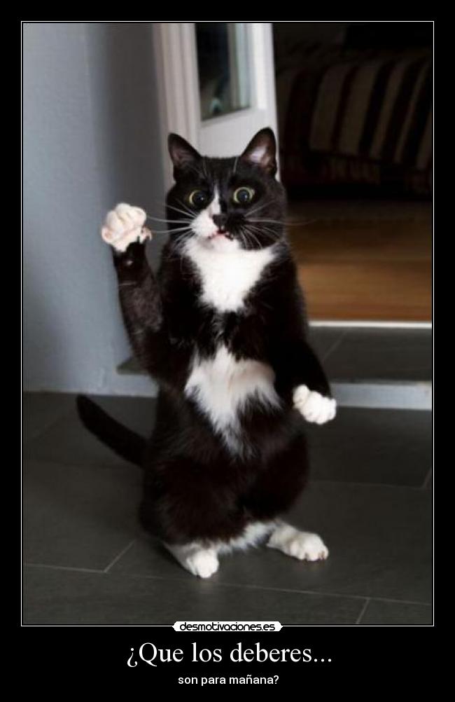 ¿Que los deberes... -