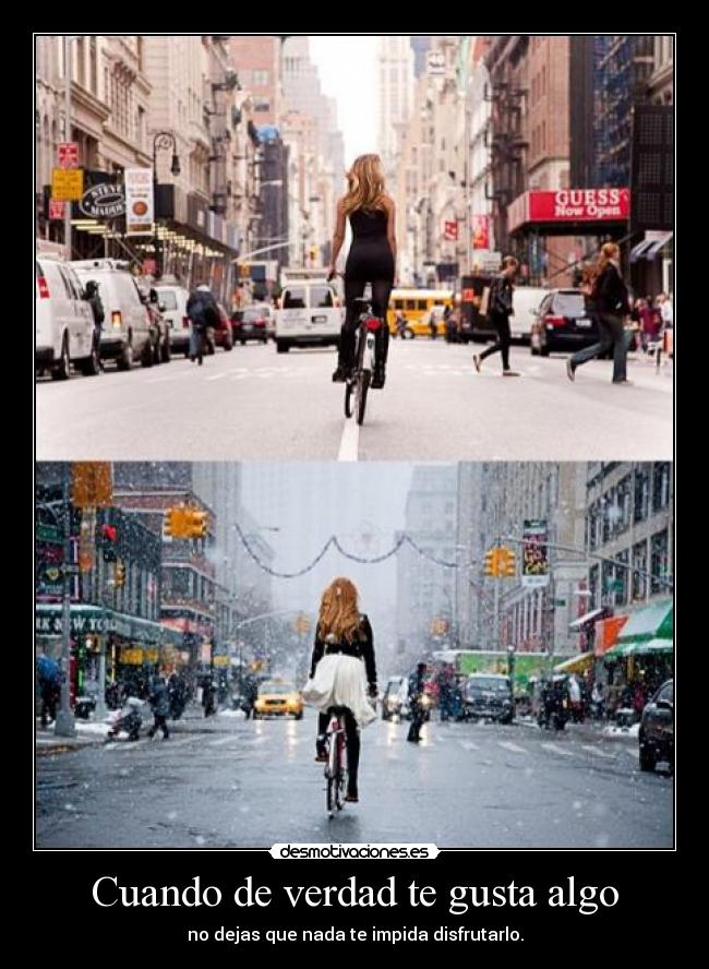 carteles a0osijfasoeifja se que poner desmotivaciones