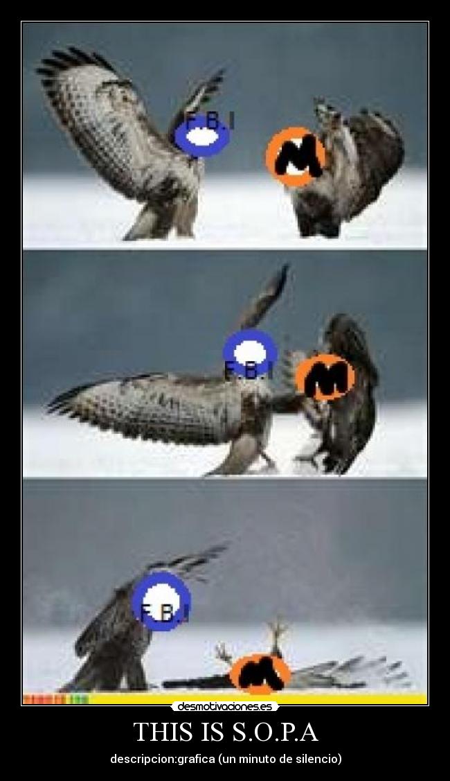 THIS IS S.O.P.A - descripcion:grafica (un minuto de silencio)