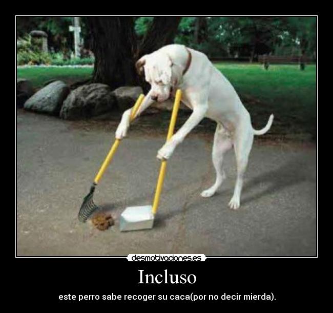 Incluso -