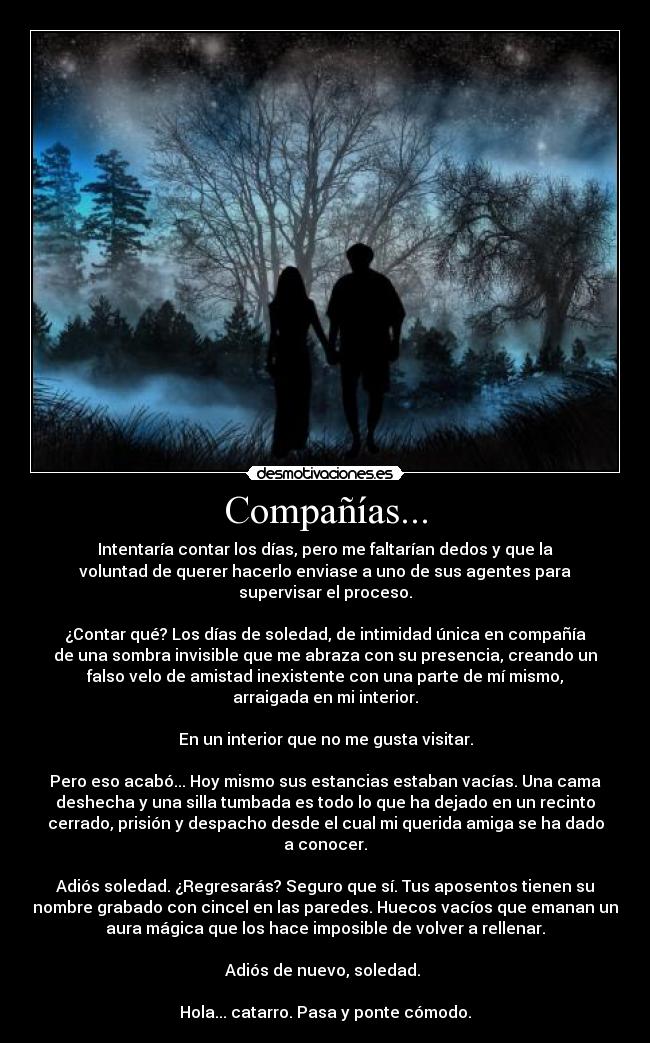 carteles estoy mis cabales siento camisas fuerza talla xxl graciaaas desmotivaciones