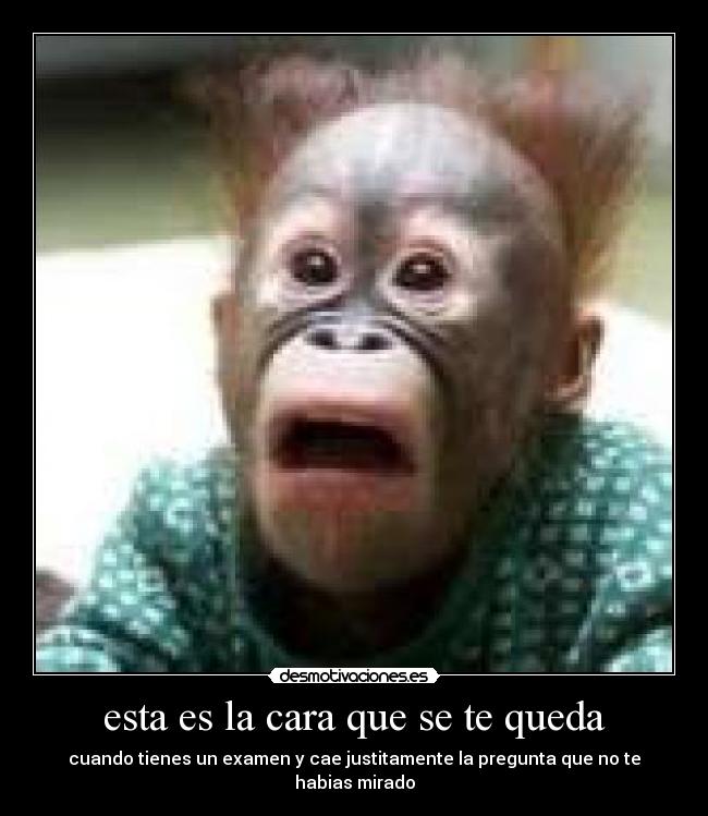 esta es la cara que se te queda - 
