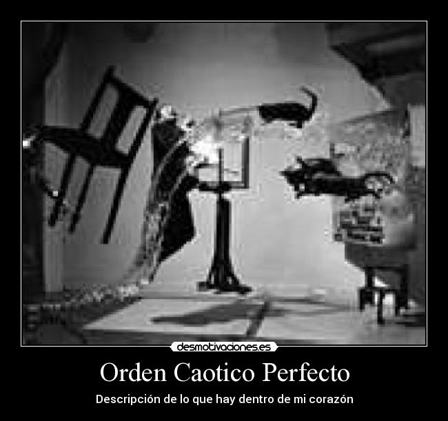 Orden Caotico Perfecto - 