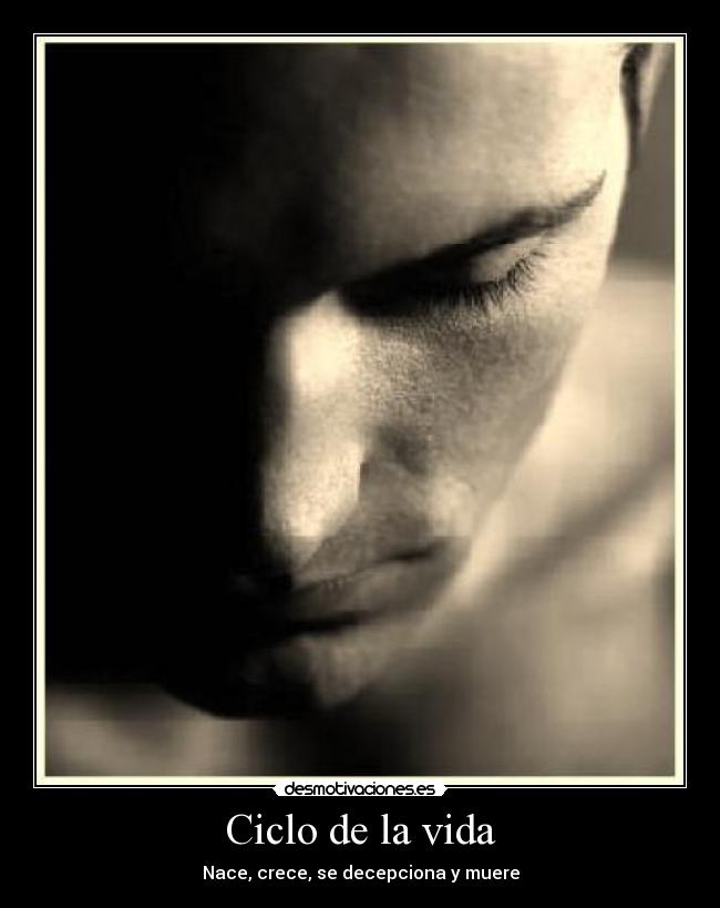 Ciclo de la vida - Nace, crece, se decepciona y muere