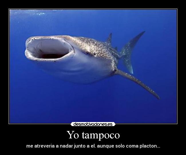 carteles tiburon desmotivaciones