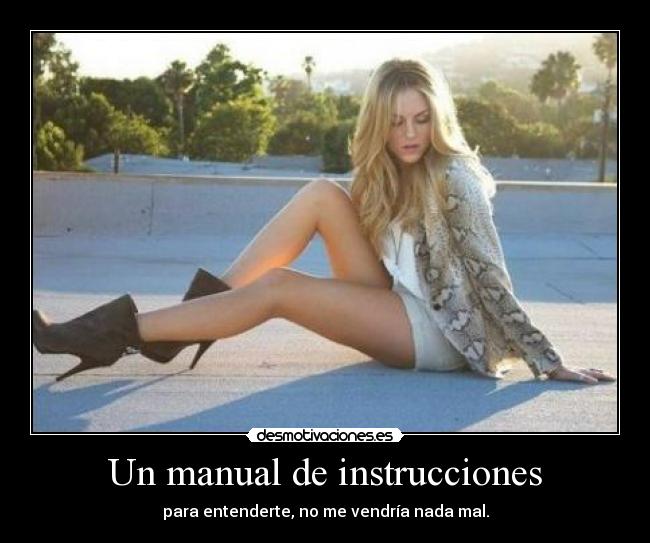 Un manual de instrucciones - para entenderte, no me vendría nada mal.