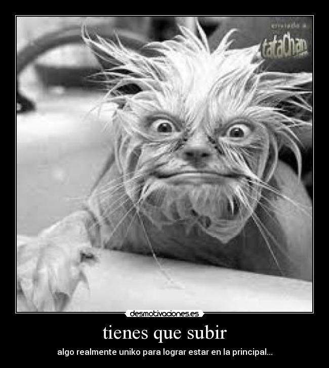 tienes que subir -