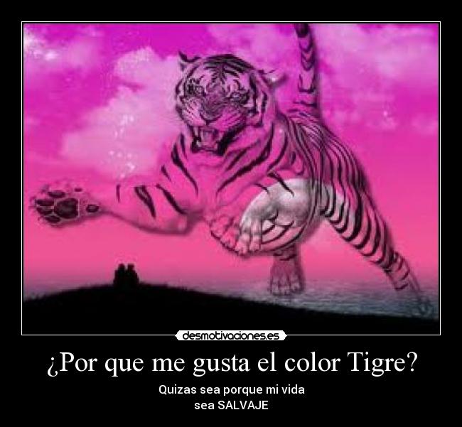 ¿Por que me gusta el color Tigre? - 