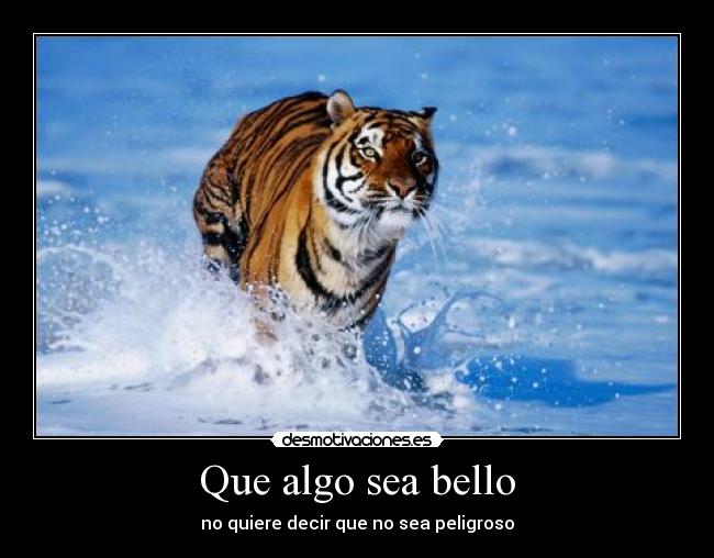 Que algo sea bello - no quiere decir que no sea peligroso