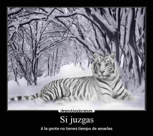 Si juzgas -